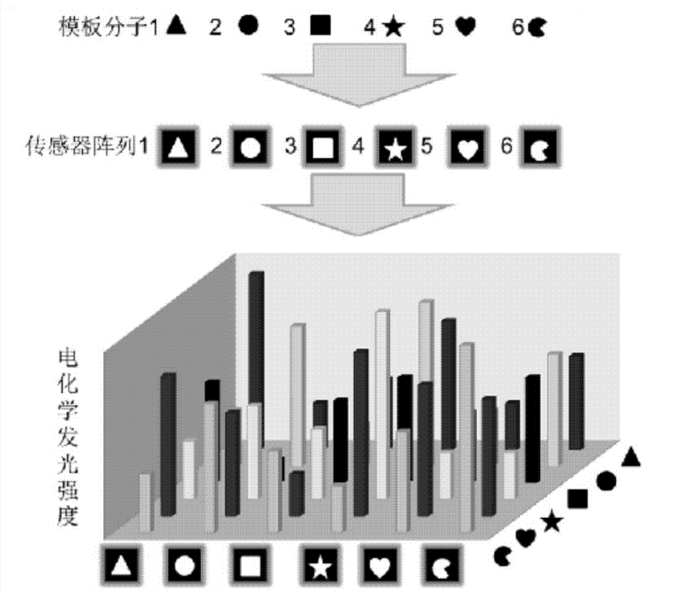 Electrochemical luminescence sensor array, and preparation method and application thereof