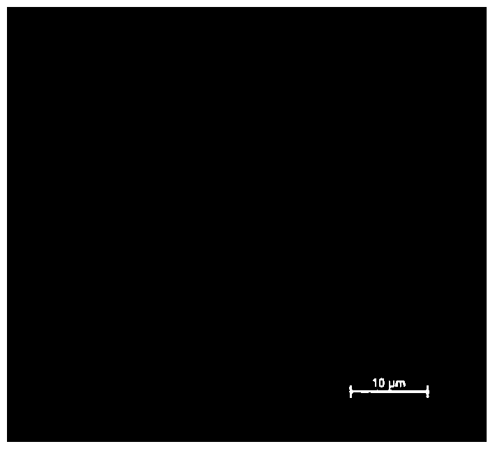 A method for cultivating Bacillus amyloliquefaciens and its application