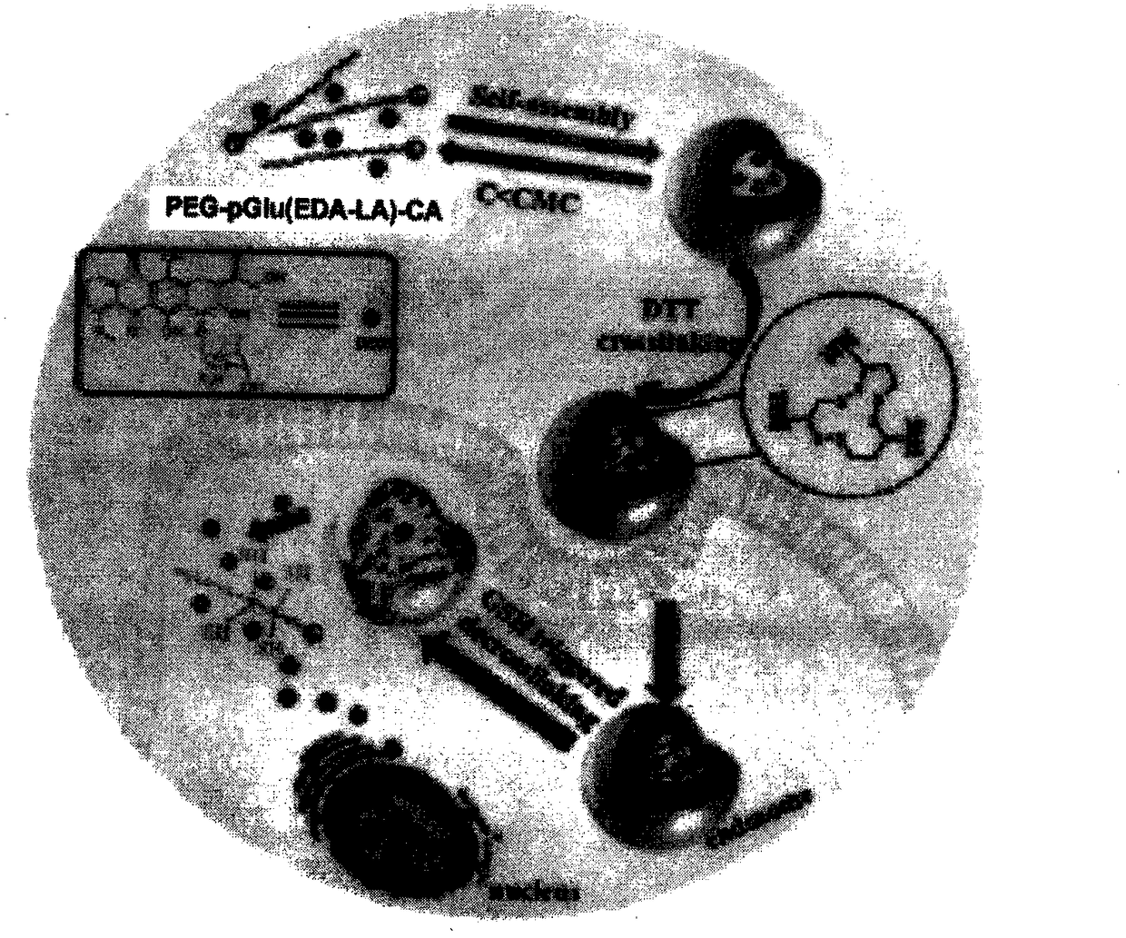 Synthesis and Application of Cholic Acid Modified Polyamino Acid Block Copolymer