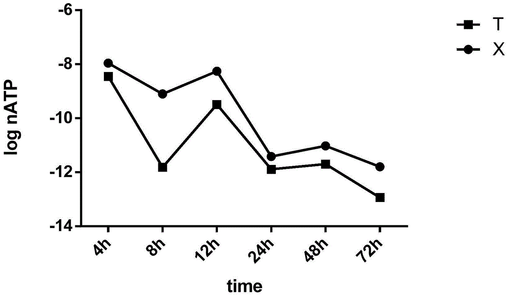 Method for rapidly detecting adenosine triphosphate (ATP) in iced chicken meat