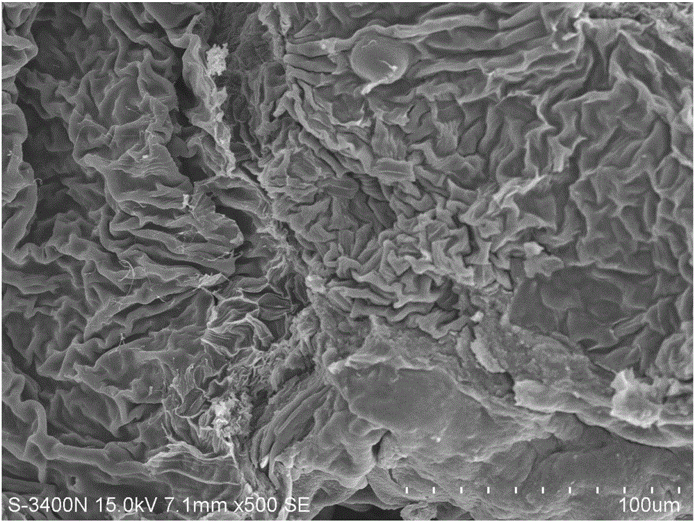 High-specific-surface-area N-doped surface-modified silkworm excrement-based microporous carbon material and preparation method and application thereof