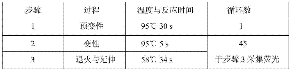 Hsa-mir-629-5p detection kit and detection method based on allglo probe fluorescent quantitative PCR