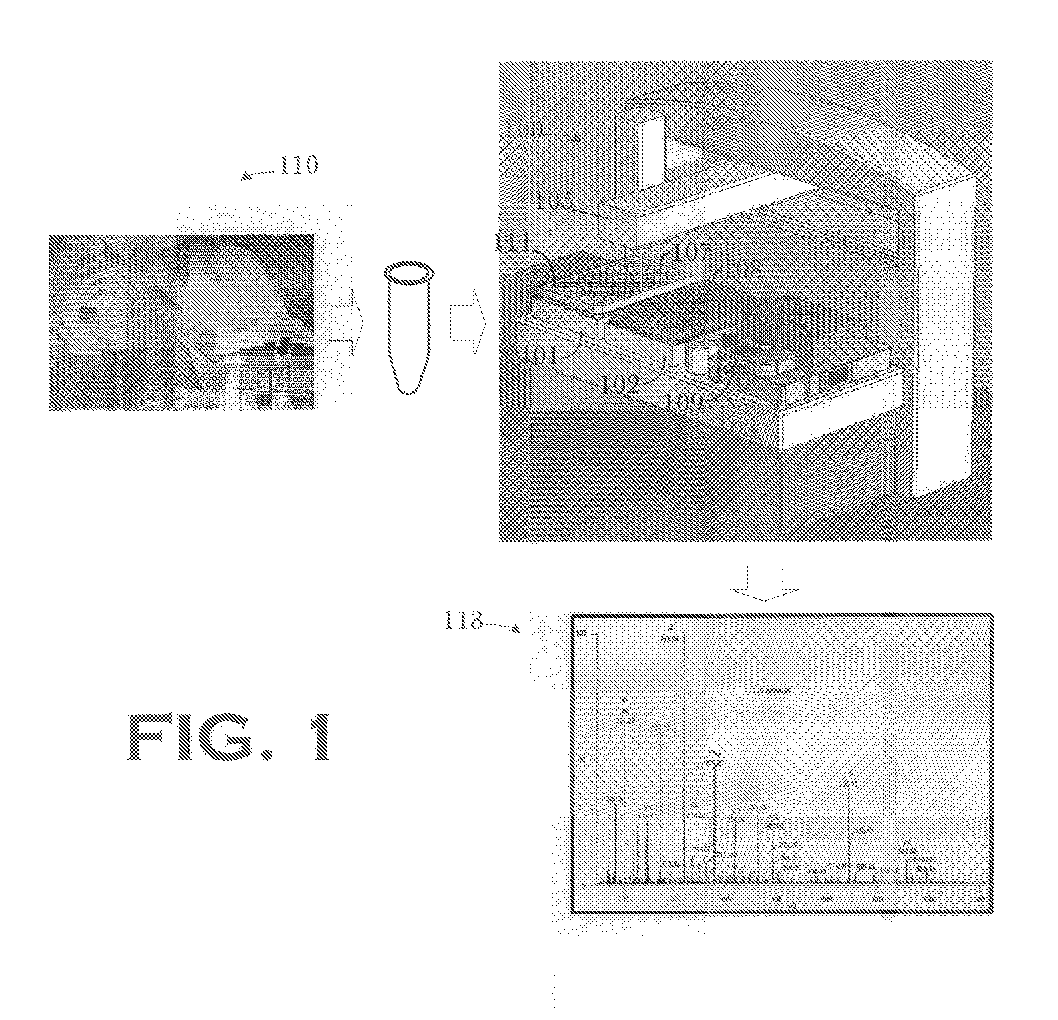 Automated two-dimensional gel electrophoresis