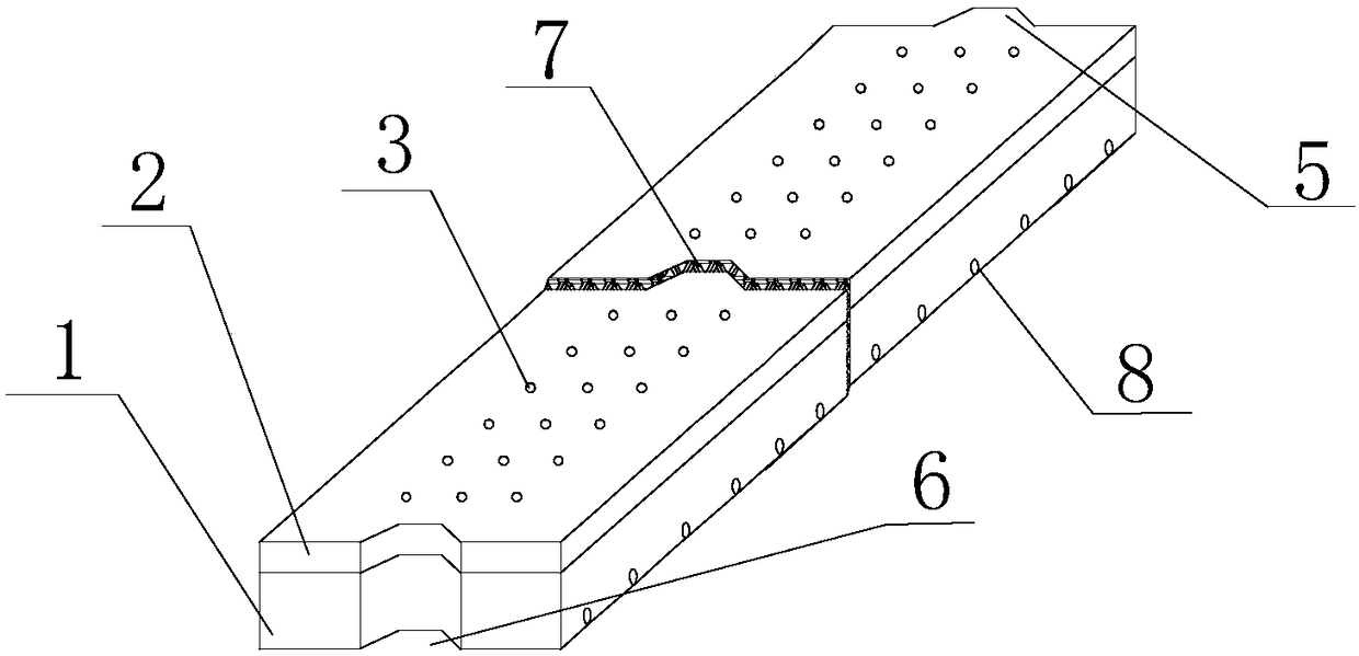 Cement concrete pavement structure of tunnel