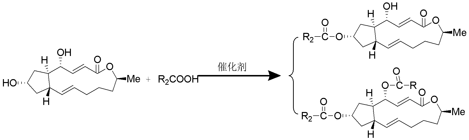 Brefeldin A ester derivatives and their preparation method and use