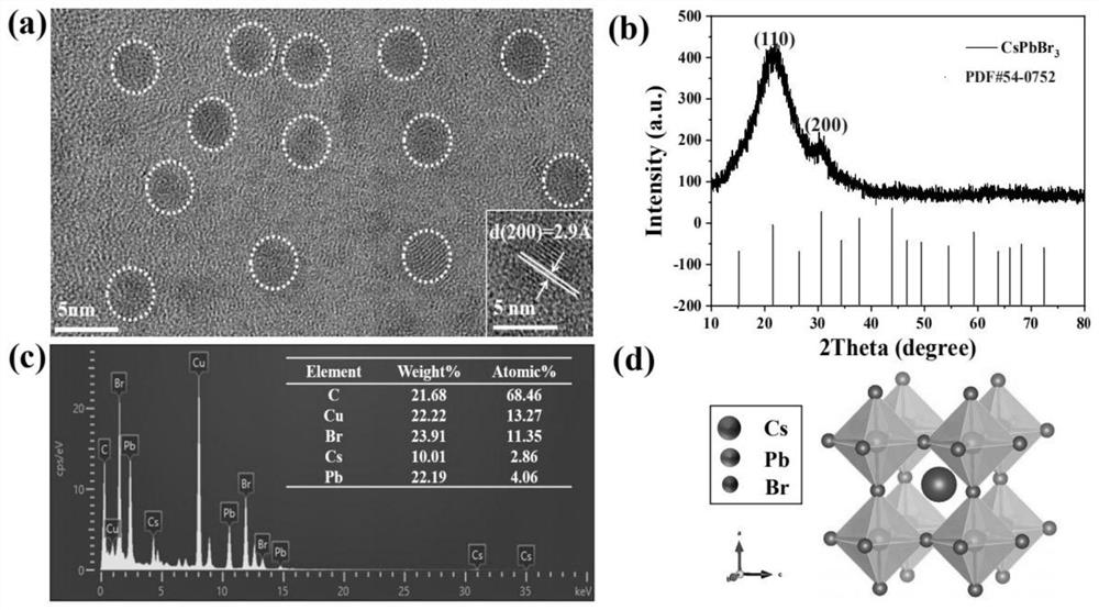 Recrystallization-based all-bromo perovskite blue light quantum dot and preparation method thereof