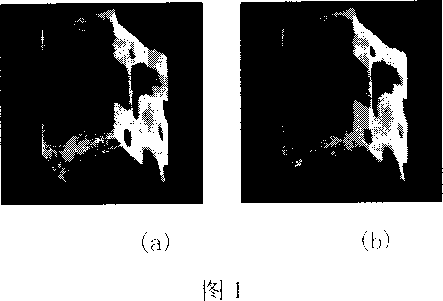 Body drawing visible method based on fractal