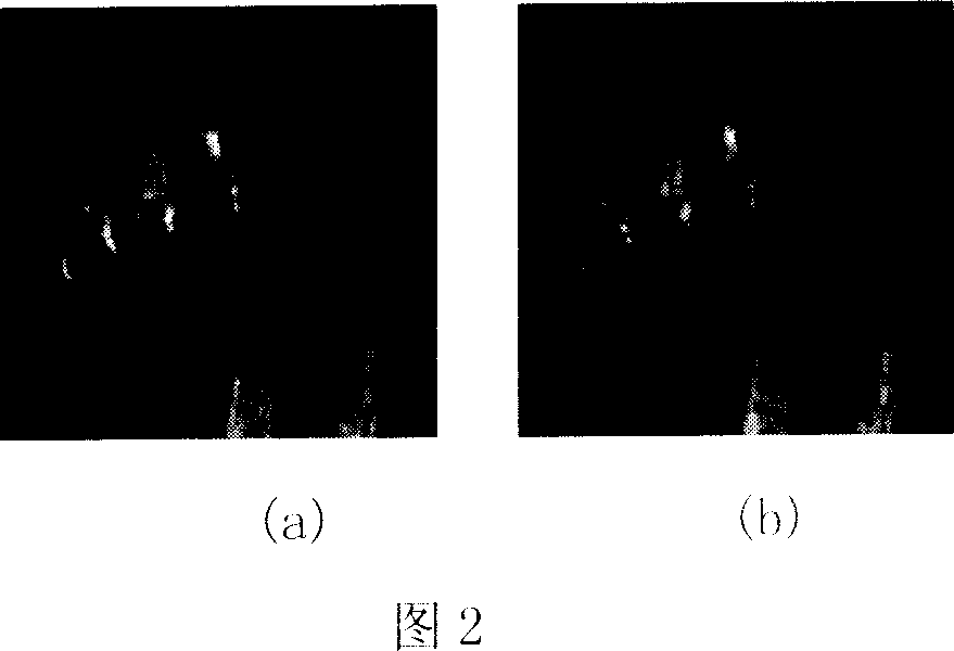 Body drawing visible method based on fractal