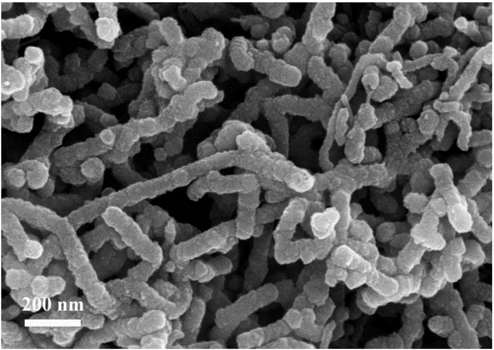 Application of chlorine-doped polymer matrix composite to chloride-ion battery cathode material