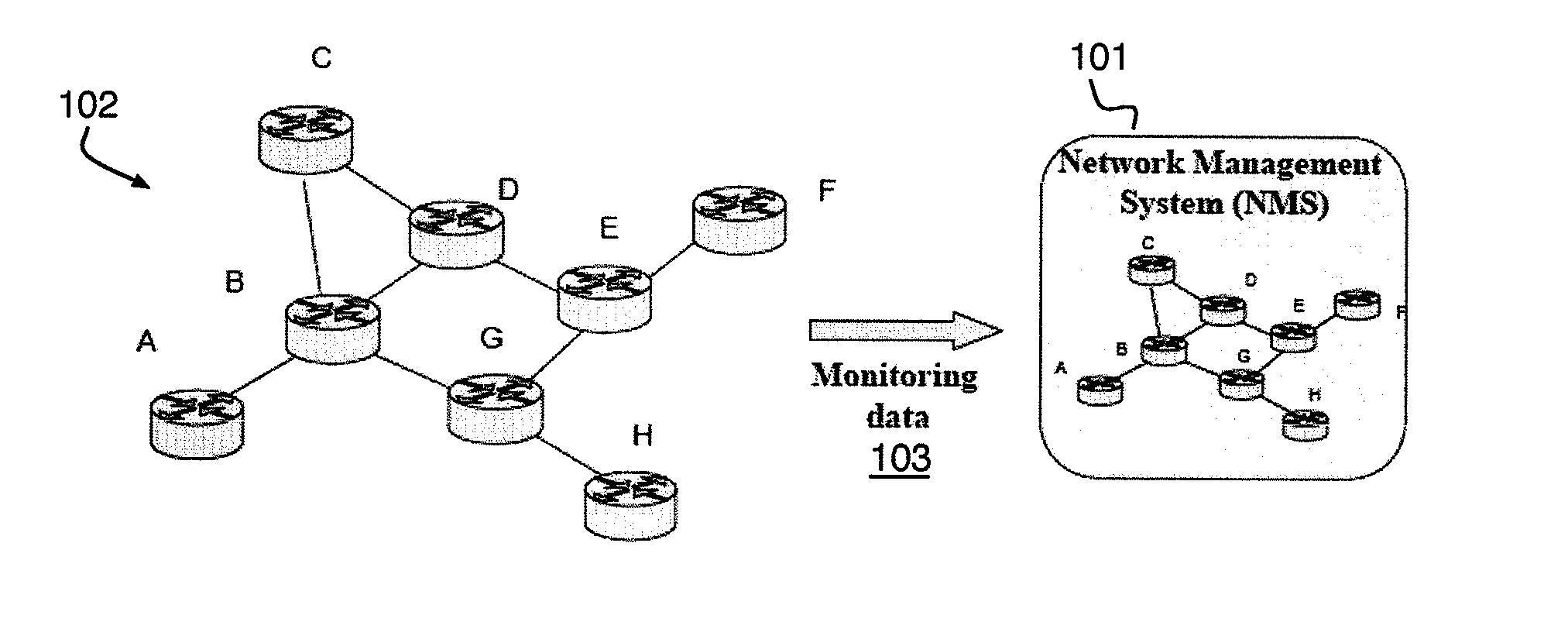 Discovering network topology from routing information