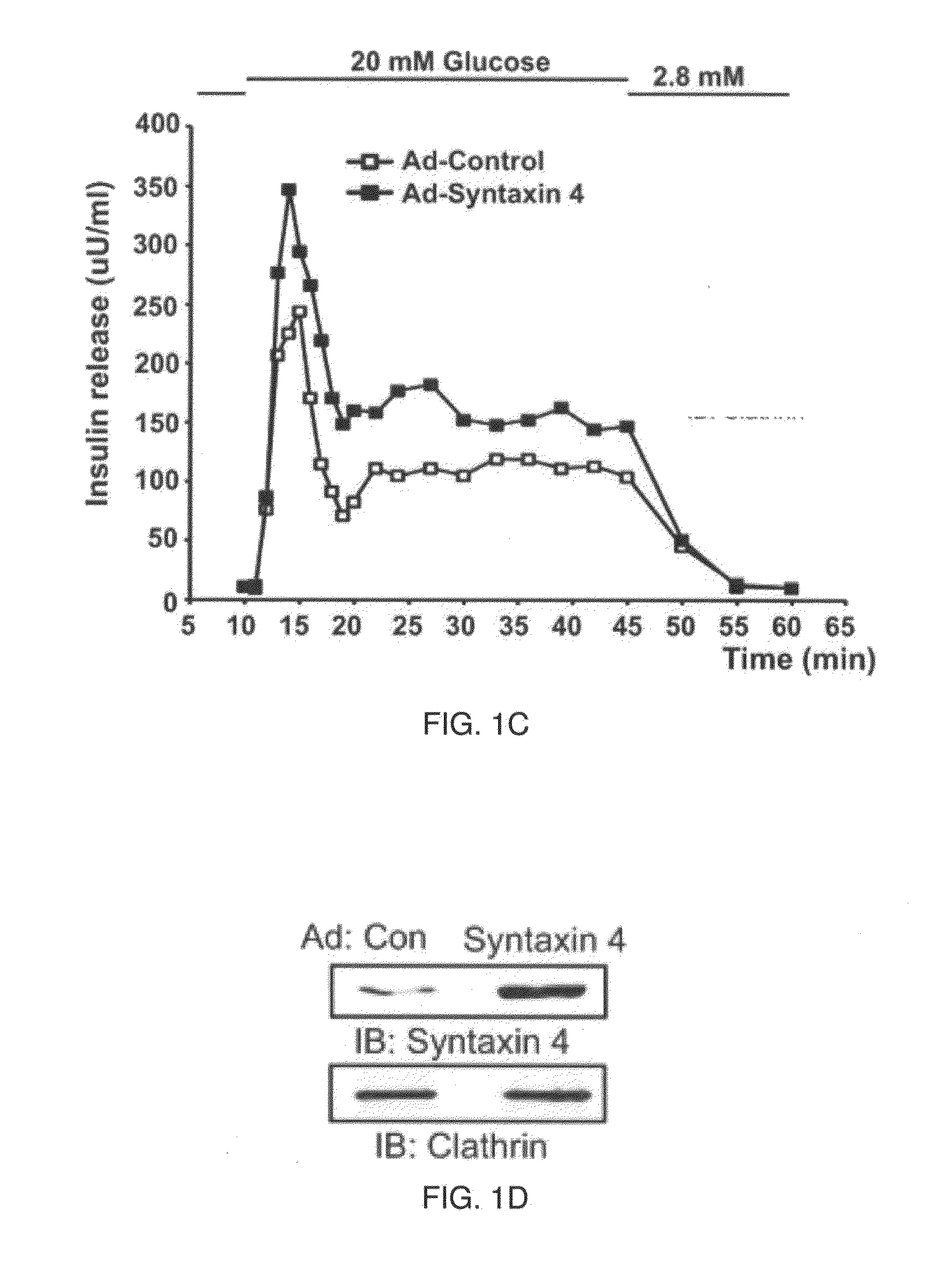 Materials and Methods for Regulating Whole Body Glucose Homeostasis