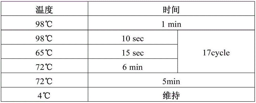 cDNA specific molecular tag and application thereof