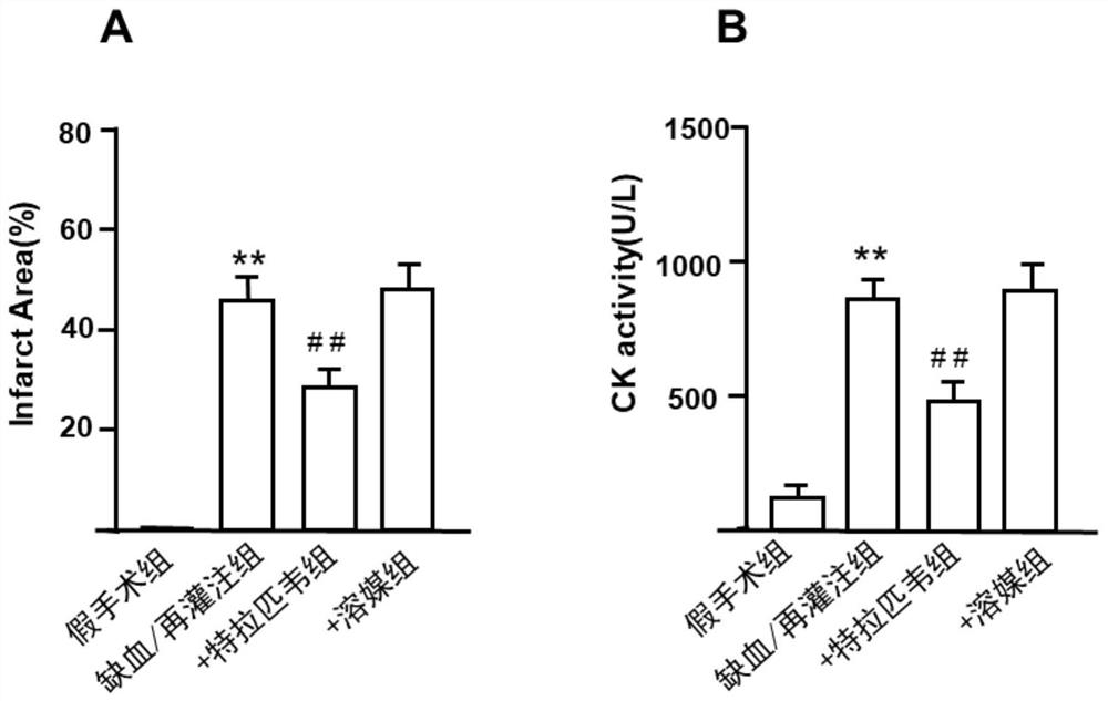 Application of telaprevir in preparation of medicine for treating ischemia/reperfusion injury and cell protection medicine