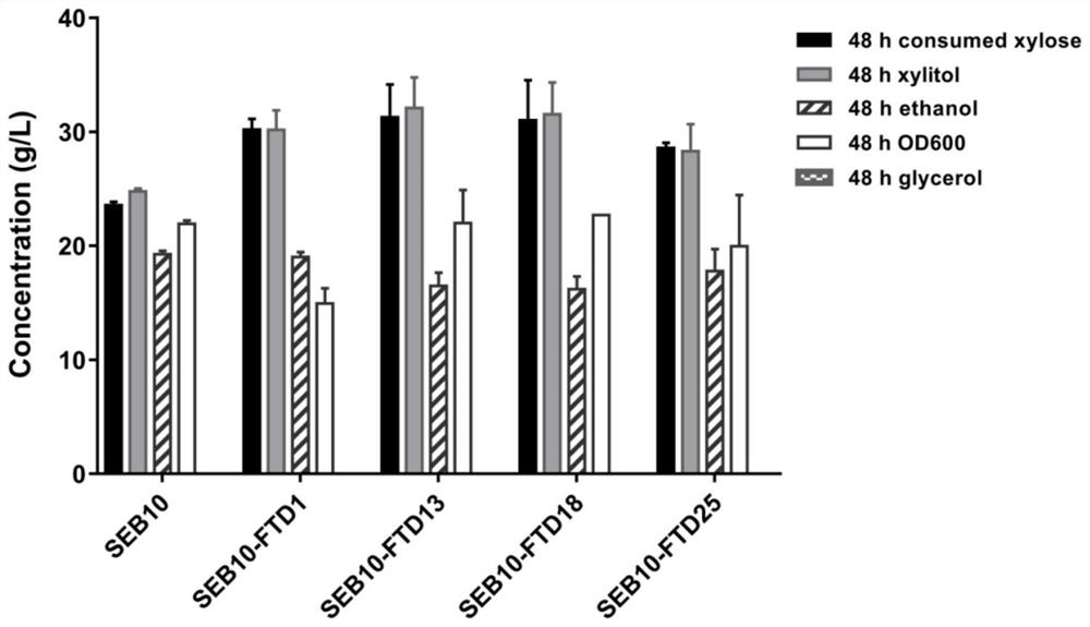 Industrial saccharomyces cerevisiae strain for synchronously producing xylitol and ethanol and construction method of industrial saccharomyces cerevisiae strain