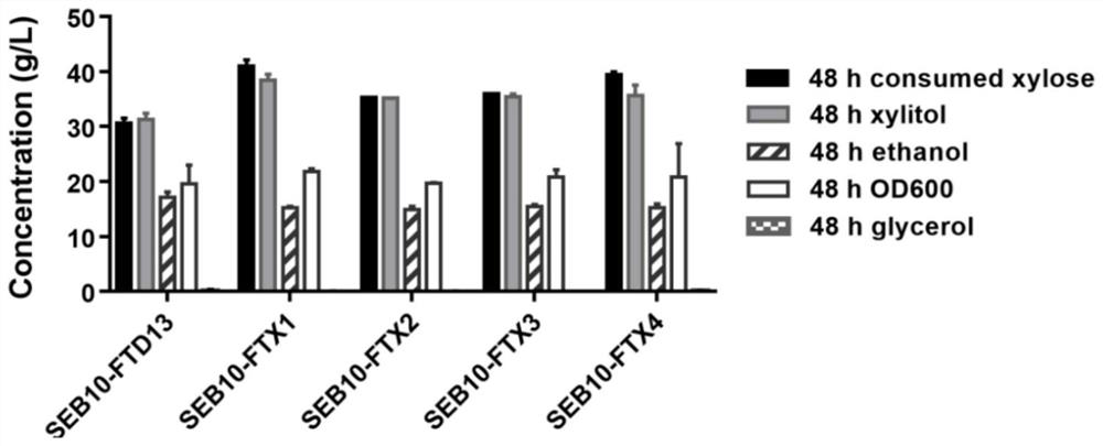 Industrial saccharomyces cerevisiae strain for synchronously producing xylitol and ethanol and construction method of industrial saccharomyces cerevisiae strain