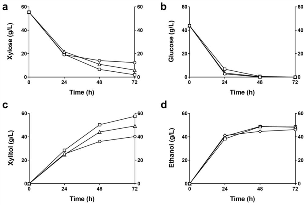 Industrial saccharomyces cerevisiae strain for synchronously producing xylitol and ethanol and construction method of industrial saccharomyces cerevisiae strain