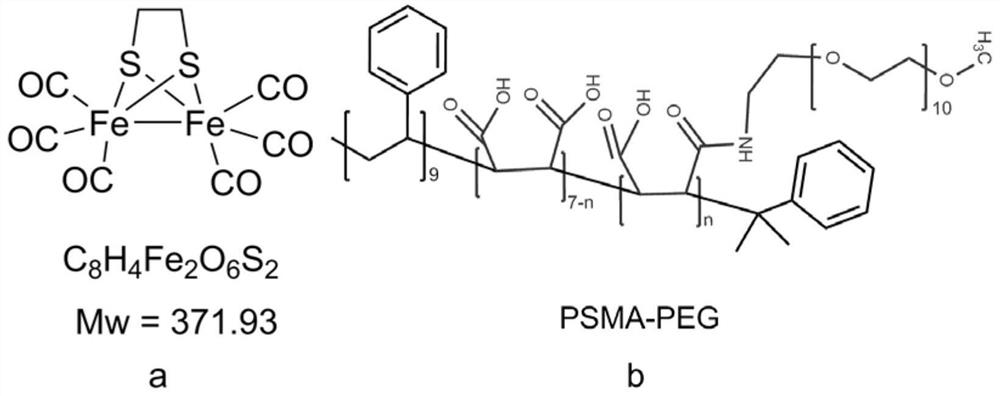 Application of Carbonyl Iron Sulfur Cluster Nanoparticles in Drug Preparation