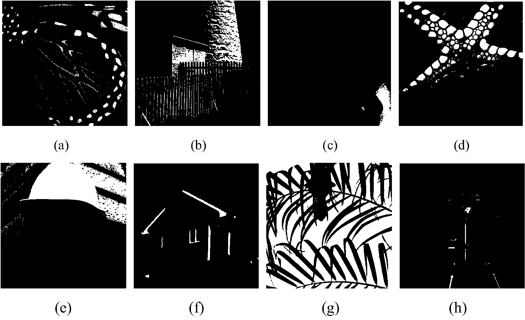 Image super-resolution method based on multi-output least square support vector regression