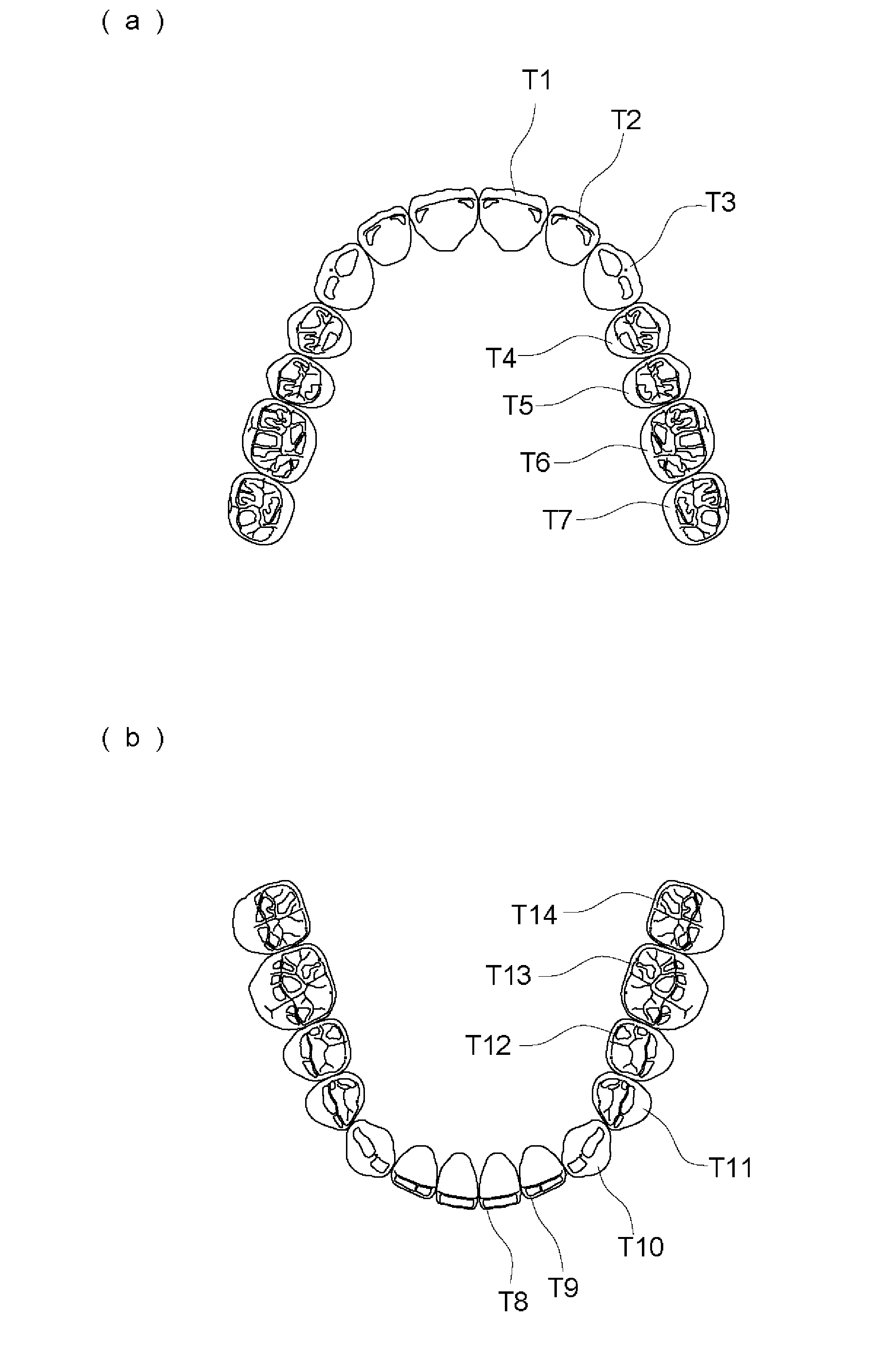 Artificial teeth easily enabling bilateral balanced occlusion