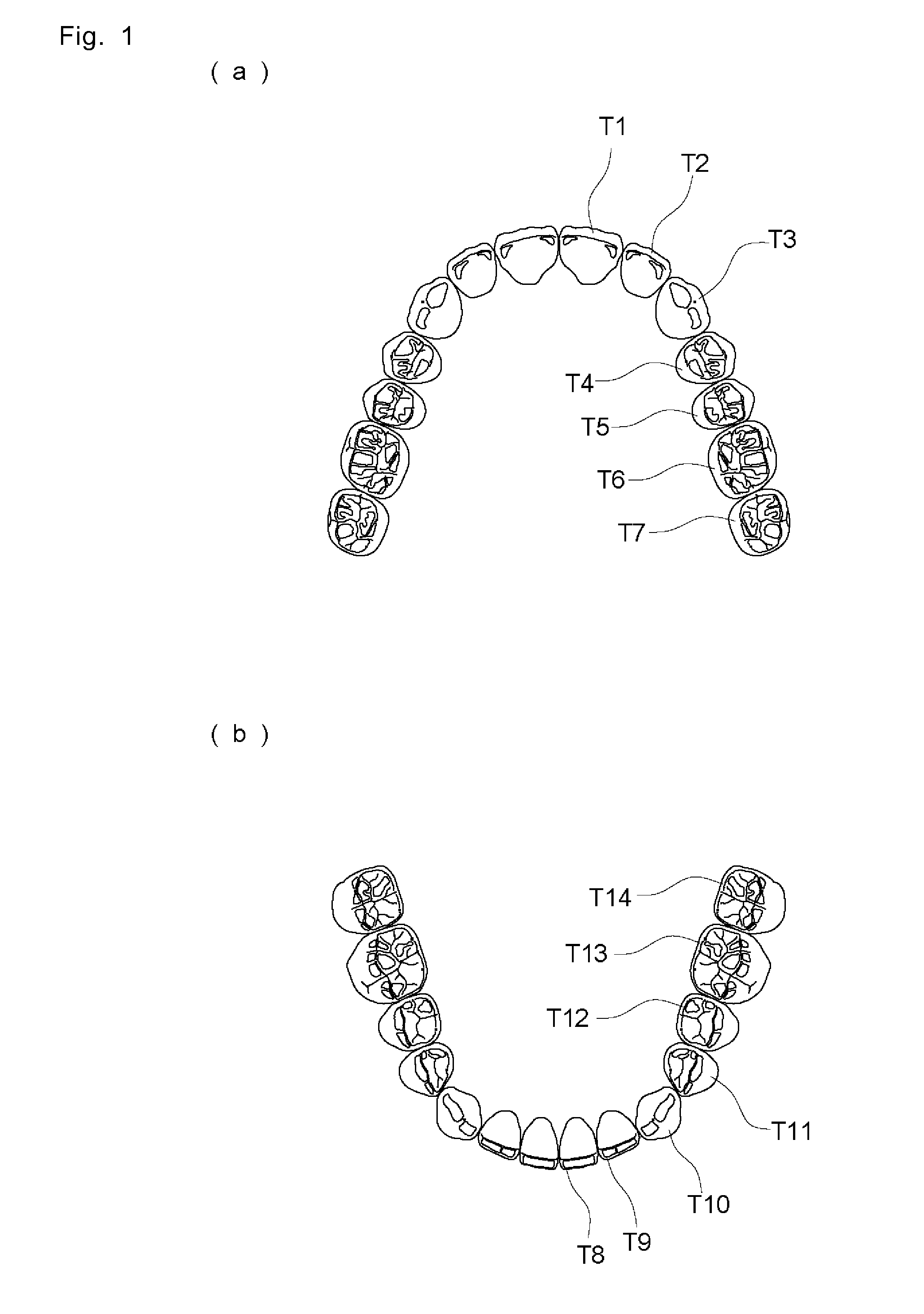 Artificial teeth easily enabling bilateral balanced occlusion