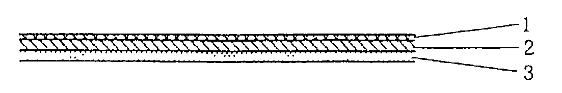 Pressure-sensitive adhesive members and processes for producing the same