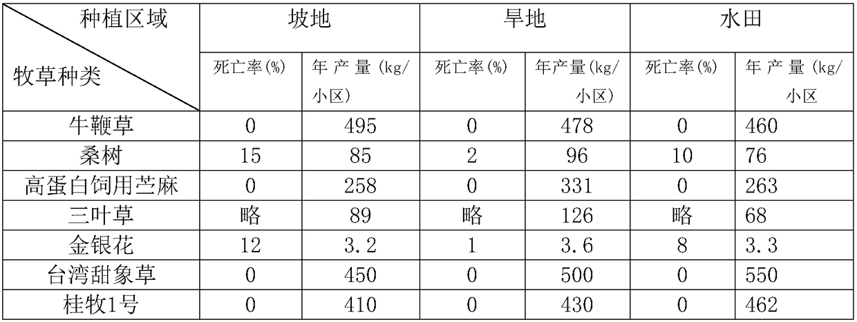 Forage space layout and cultivation method for sheep