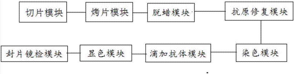 Pathological specimen slice immunocytochemistry operation method and pathological specimen slice immunocytochemistry operation system