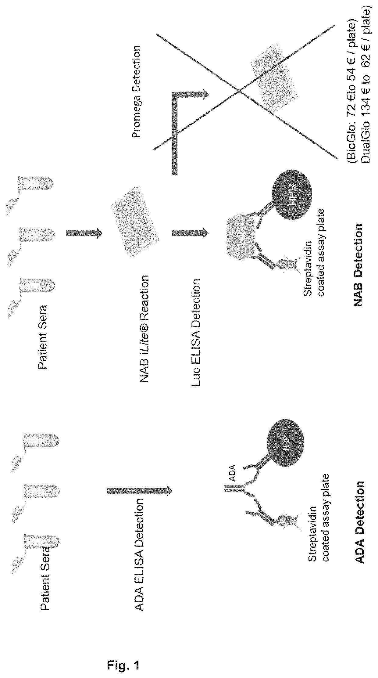 System for the adaptation of cell-based assays for analysis on automated immuno-assay platforms