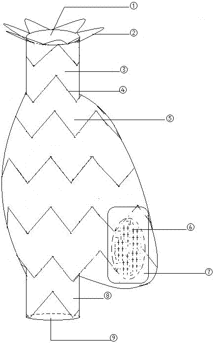 Vena cava-atrium dextrum covered stent of tricuspid insufficiency functional correction