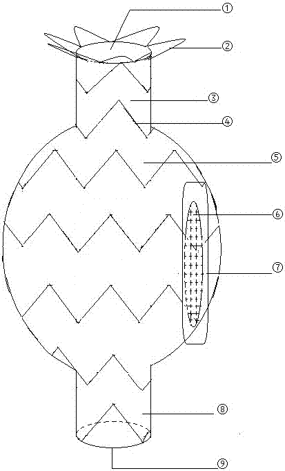 Vena cava-atrium dextrum covered stent of tricuspid insufficiency functional correction