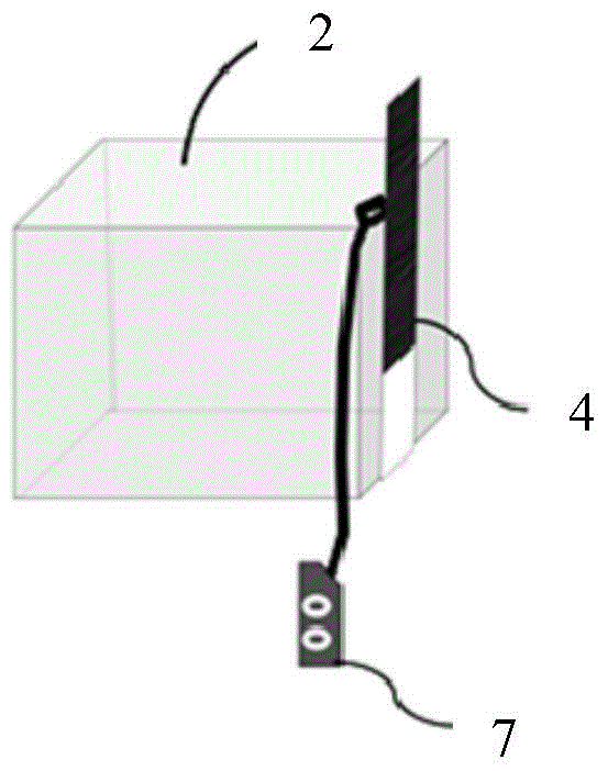 Device for testing stereotyped behaviors of non-human primates