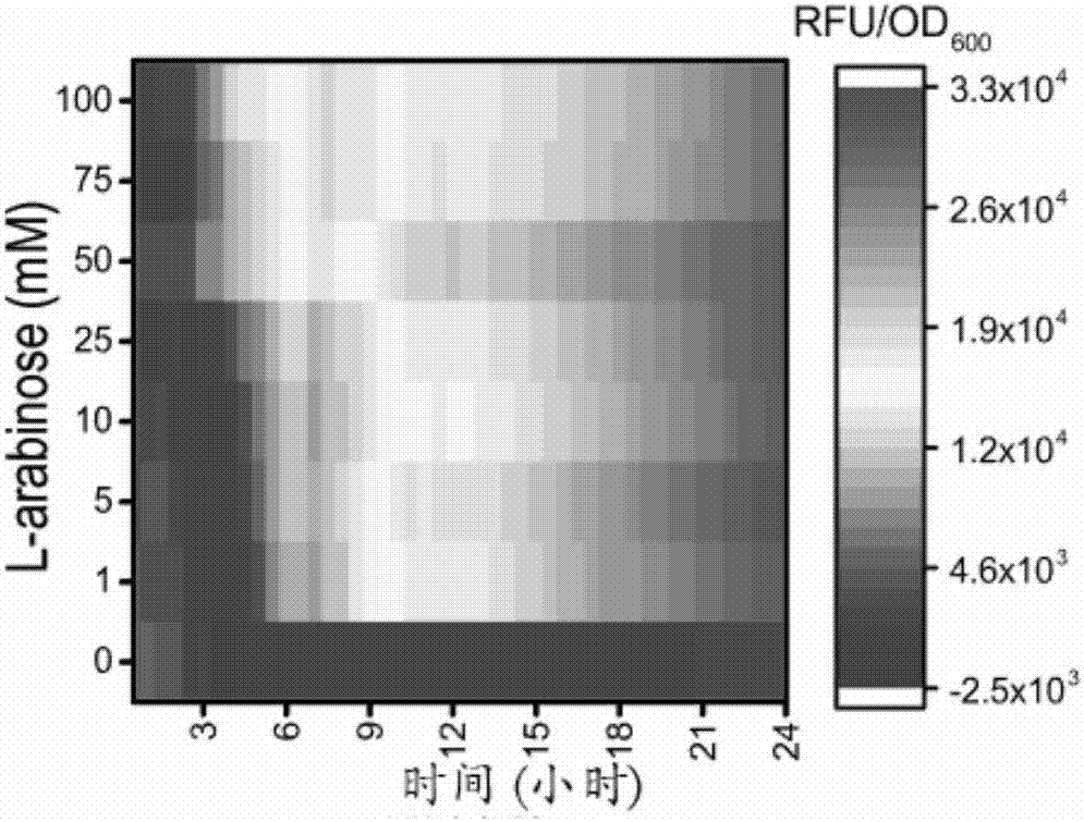 Controllable vector elimination method as well as easy-to-use CRISPR-Cas9 tool