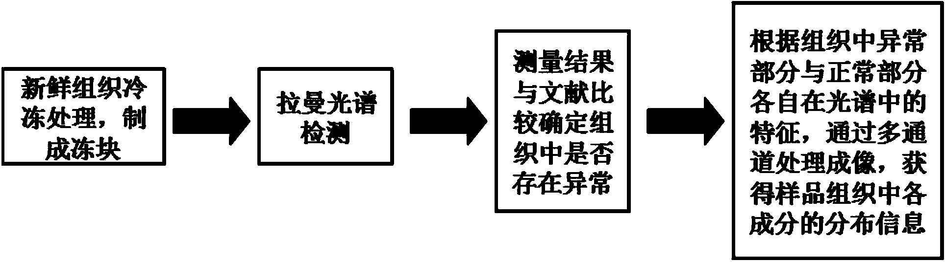 Cell tissue resonance Raman spectroscopy scanning imaging method