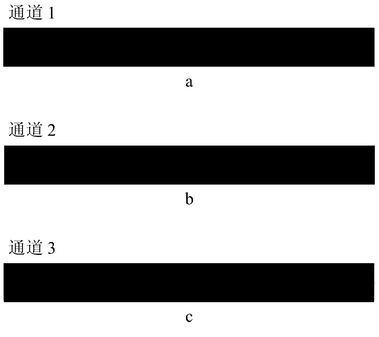 Cell tissue resonance Raman spectroscopy scanning imaging method