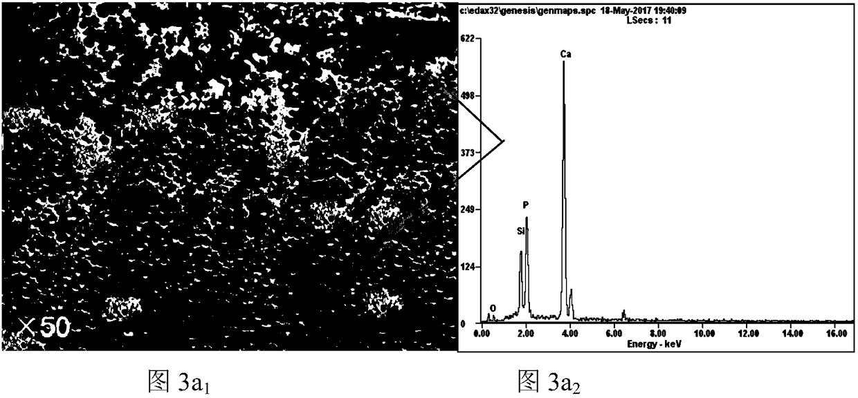 Method for promoting phosphorus enrichment phase particles in dephosphorization slag to be conglomerated and grow up