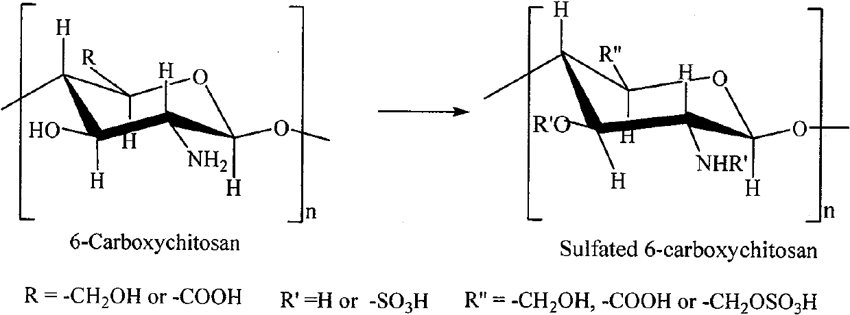 Sulfonated acylation 6-carboxyl chitosan as well as preparation method thereof