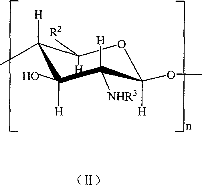 Sulfonated acylation 6-carboxyl chitosan as well as preparation method thereof