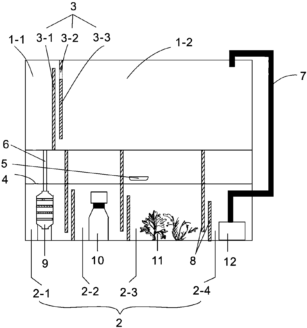 Fish tank for breeding marine organisms