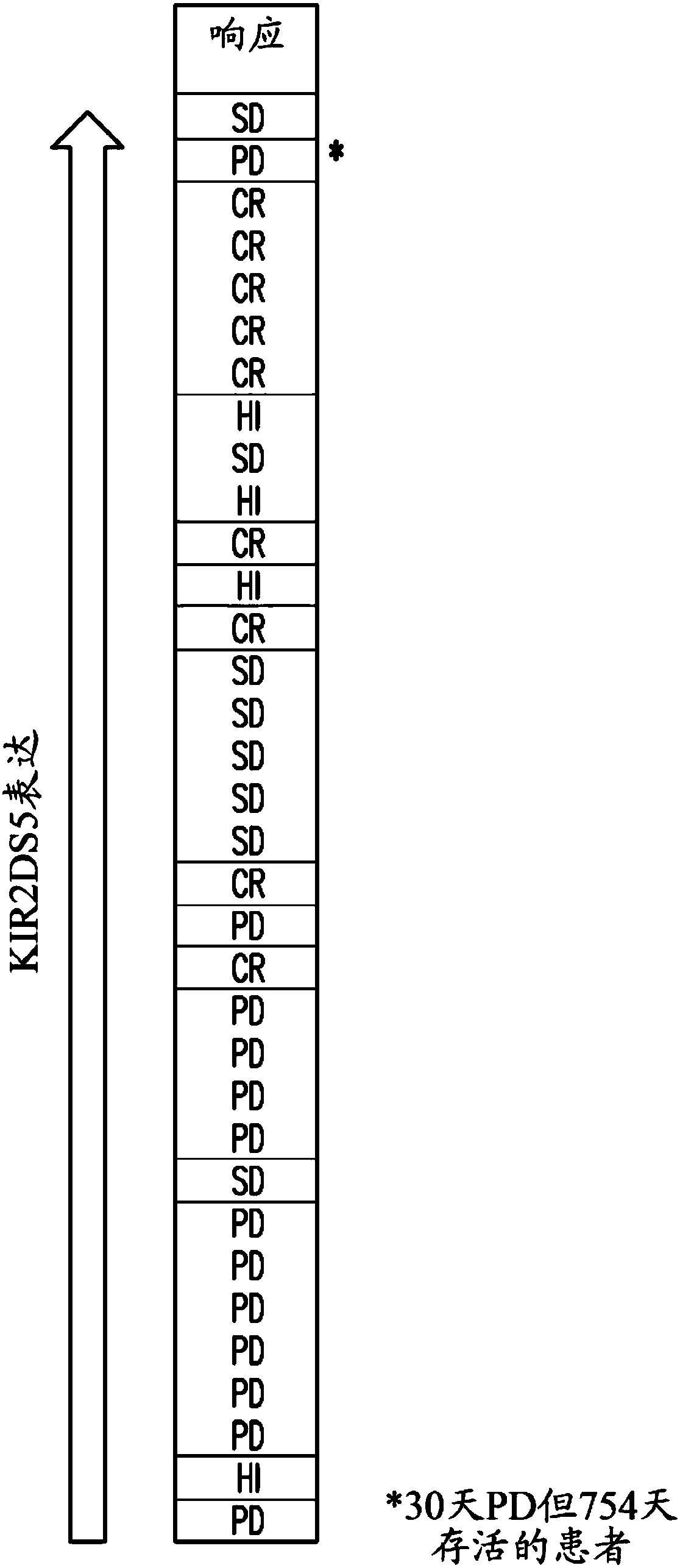 Methods of treating cancer patients with farnesyl transferase inhibitors