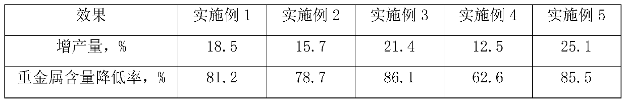 Slow-release organic fertilizer and preparation method thereof