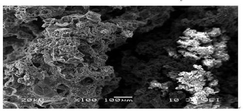 Biomass porous carbon/prussian blue composite material and preparation method thereof