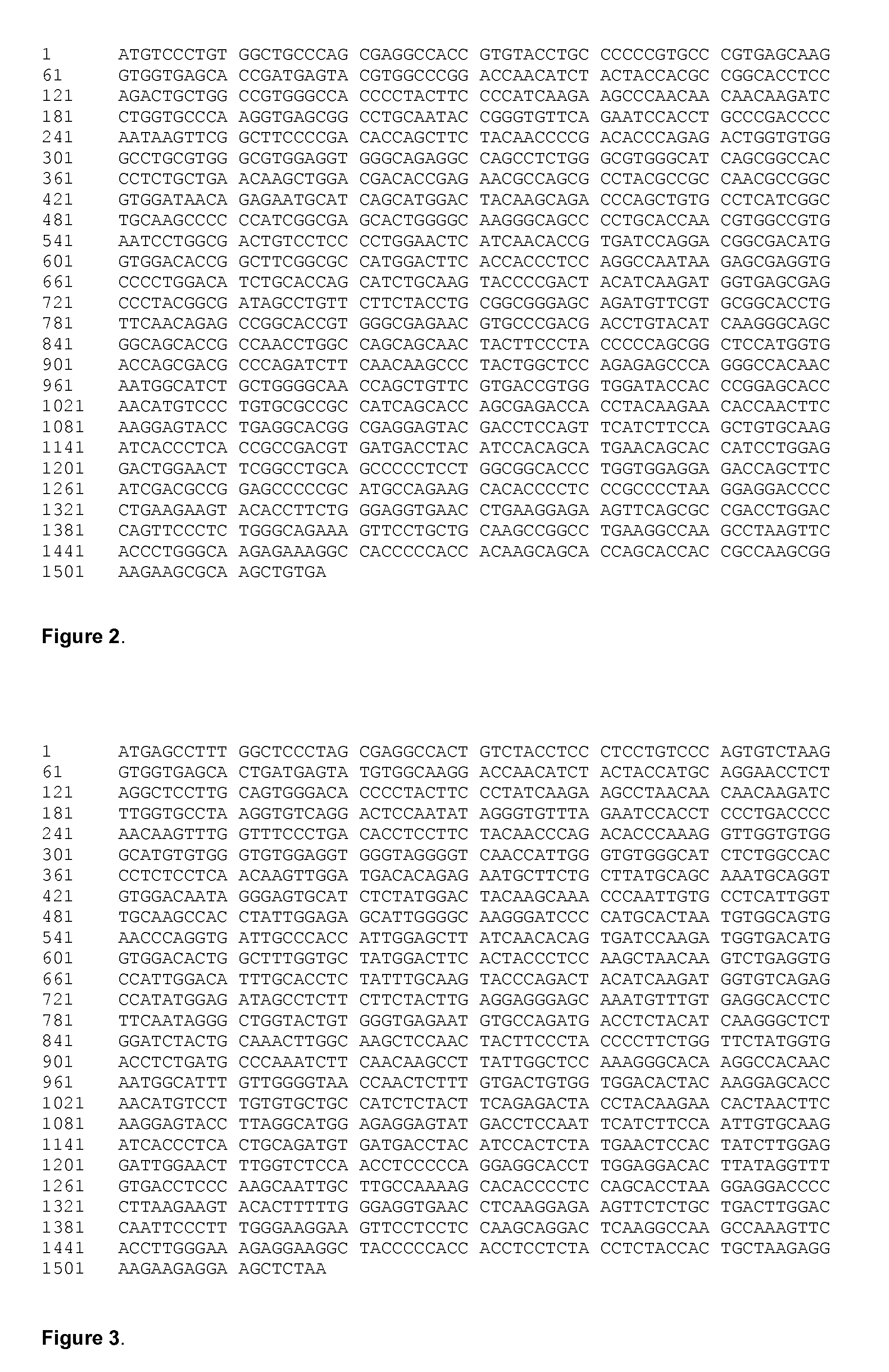 Expression of Proteins in Plants