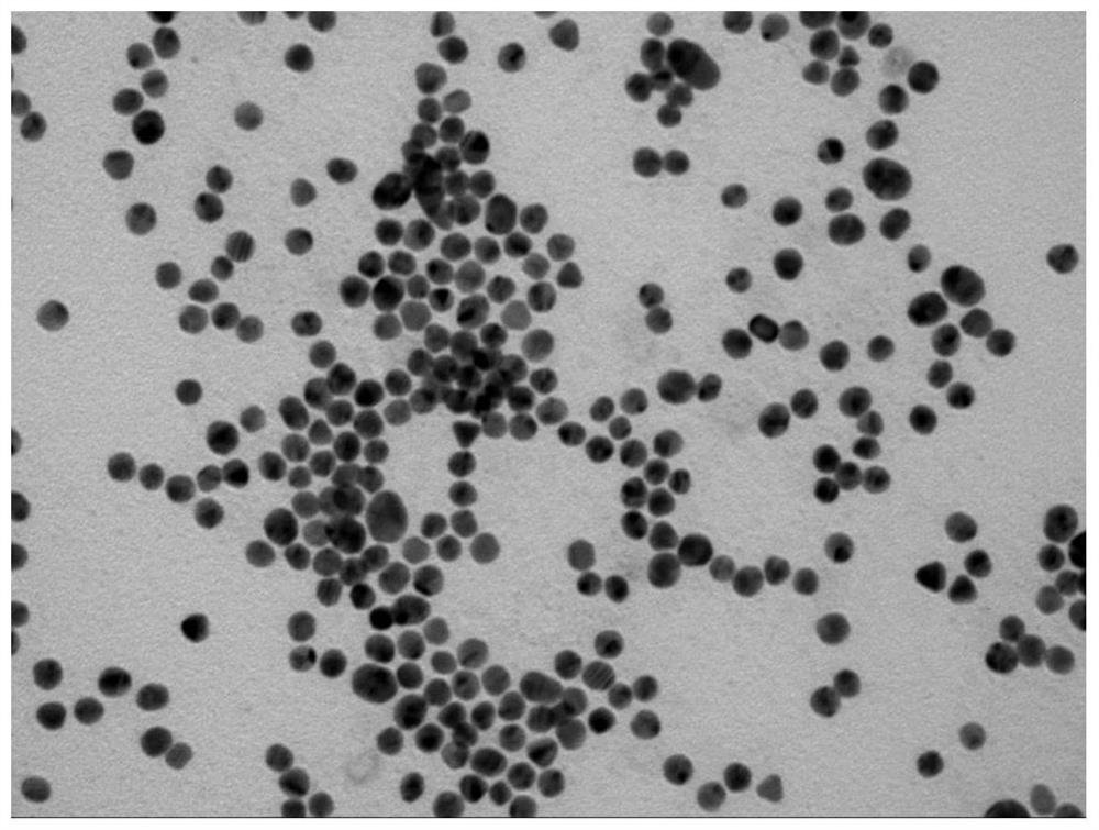 DNA molecular machine for detecting exosomes