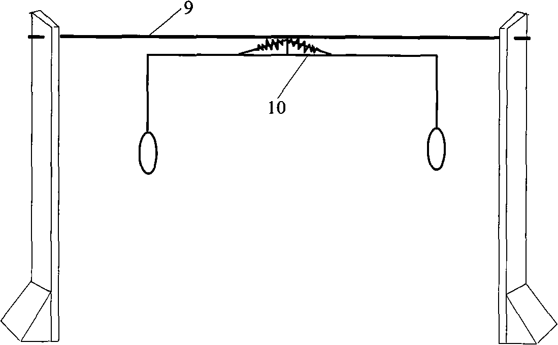 In-situ monitoring device and method of cement concrete structure forming process