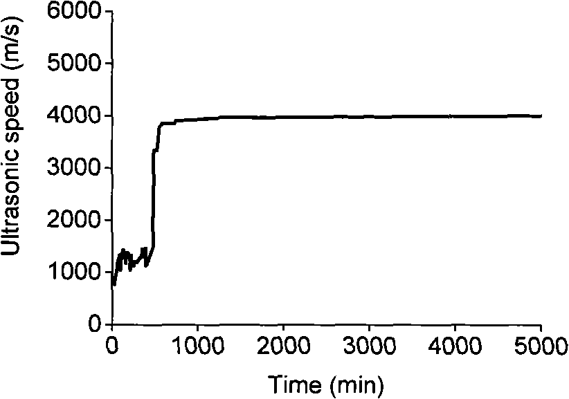 In-situ monitoring device and method of cement concrete structure forming process