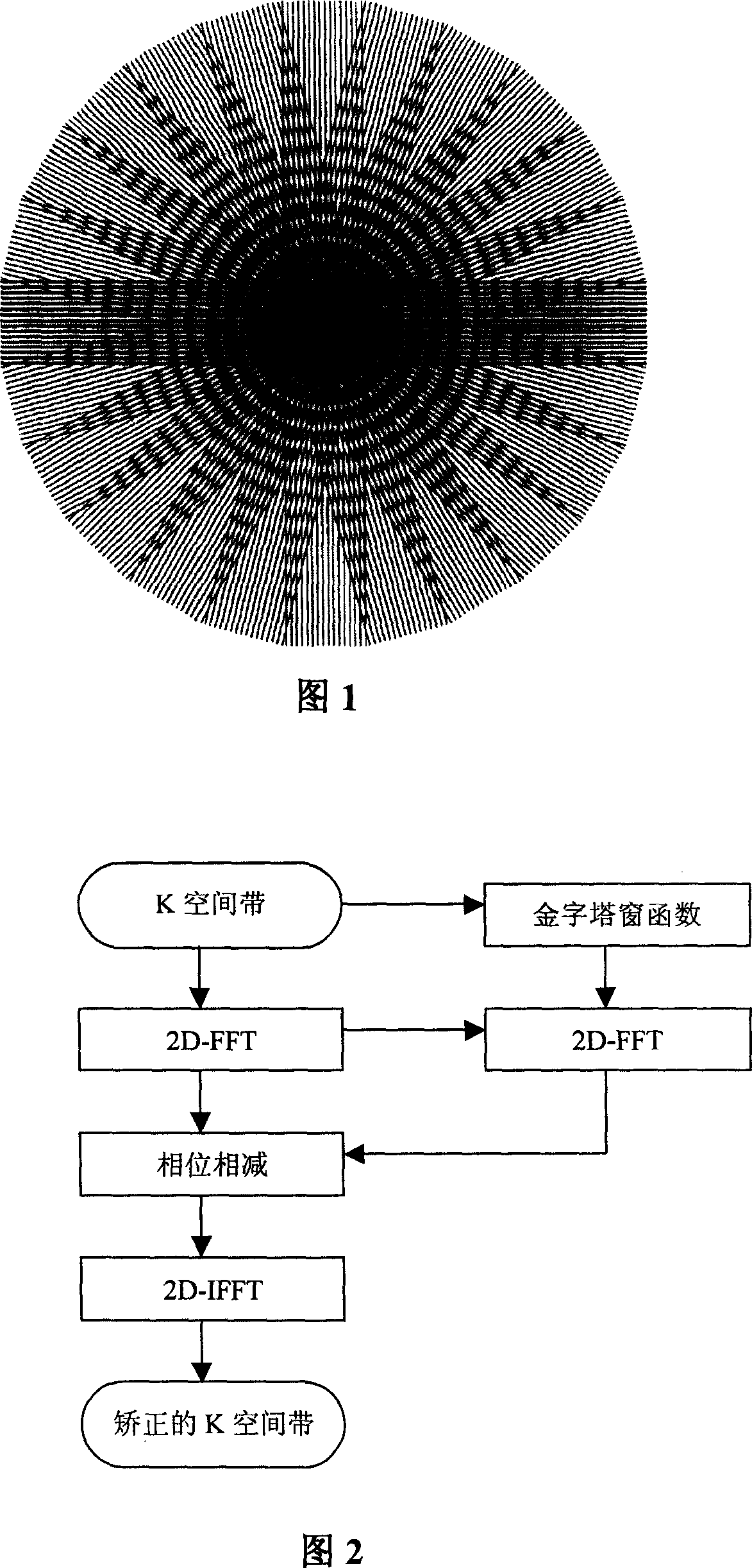 Method of eliminating motion false image using PROPELLER sampling mode in T1 weighted magnetic resaonance imaging