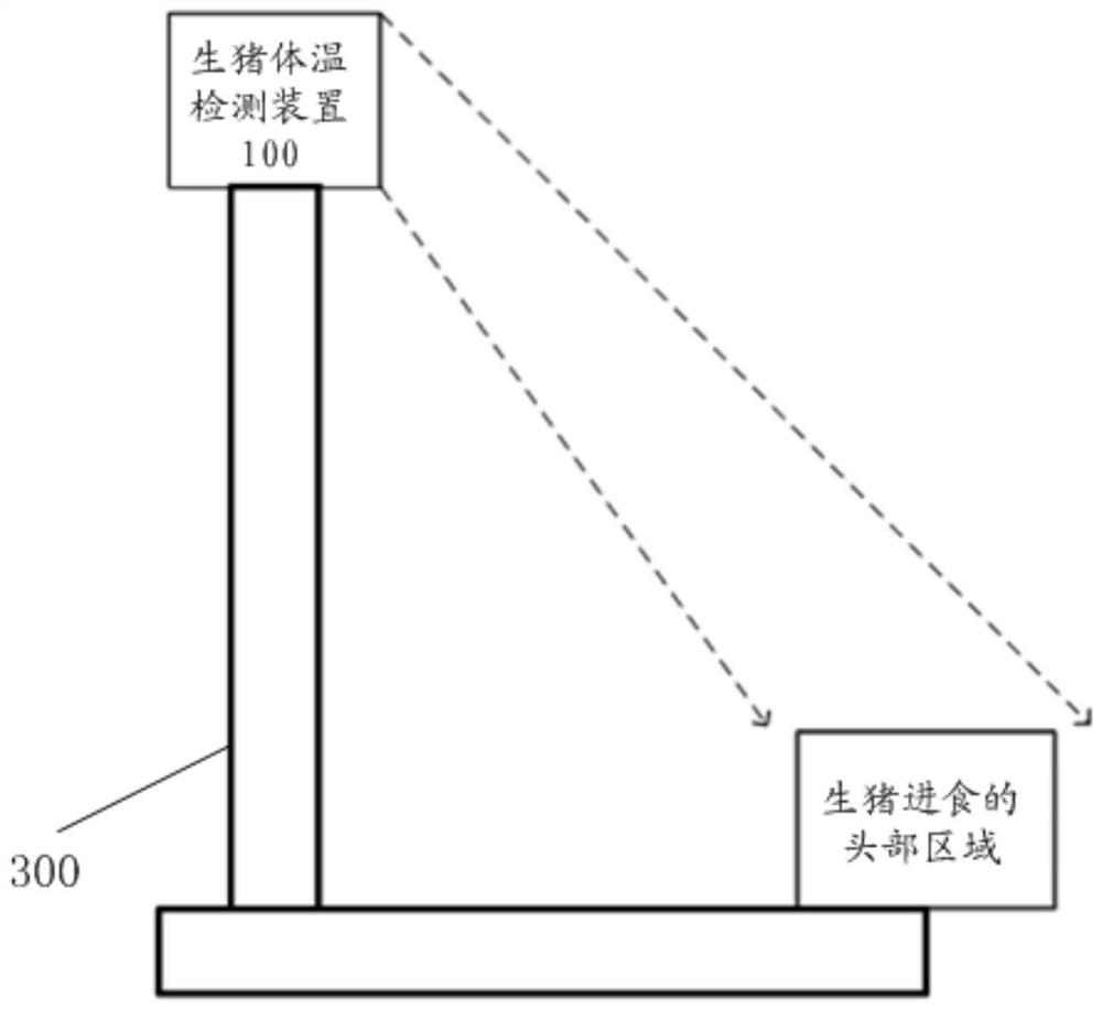 A pig body temperature detection device and system