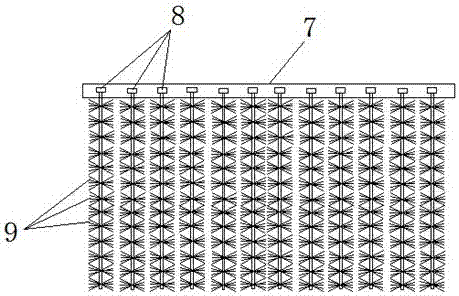 An aquatic plant inlaying combination system used for water body cleaning