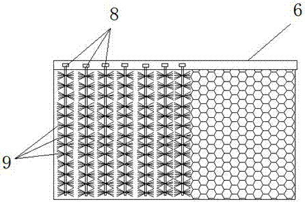 An aquatic plant inlaying combination system used for water body cleaning