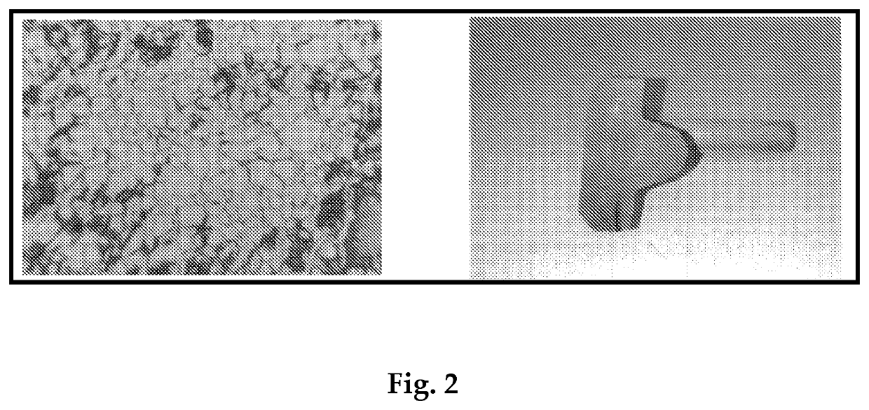 A process of manufacturing of segments for carbon thrust bearing